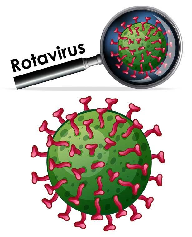 Çocuklarda Rota Virüsü Belirtileri Nelerdir?